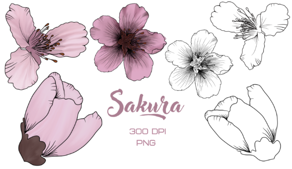 Flower Clipart Sakura Review for Real Embroidery Projects