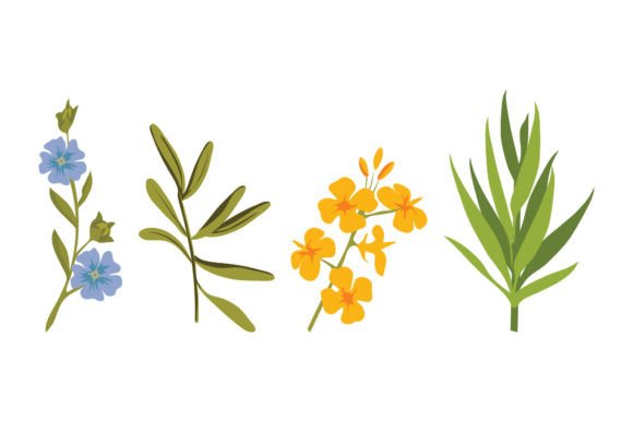 Flowers and Plant Illustrations: A Review for Digital Sellers