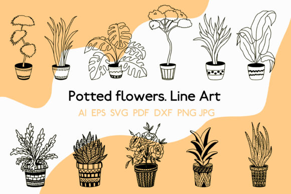 Flowers in Pots. Linear Art: Premium Graphics & Illustrations for Local Brands