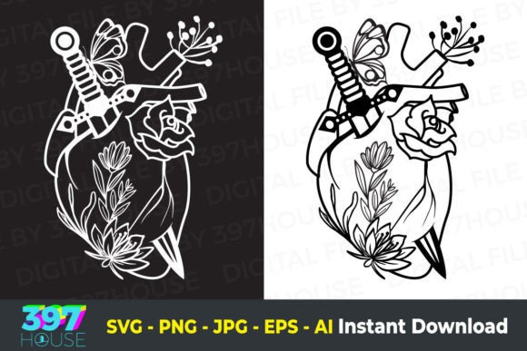 Human Heart Roses Pierced with a Dagger Graphics & Illustrations