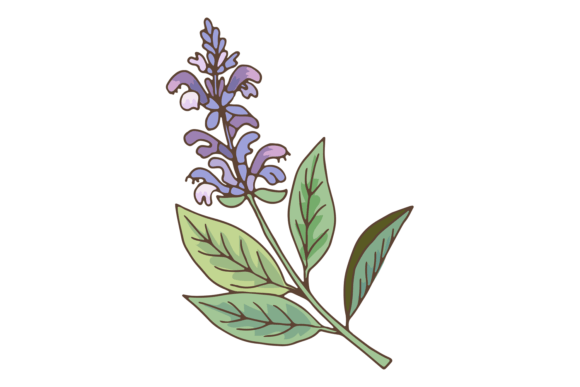 Lavender Branch Graphics for Authentic Branding and Packaging Design