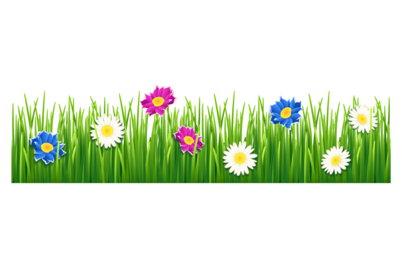 Meadow Flowers in Green Grass. Horizonta Review