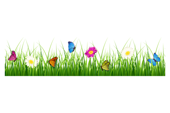 Meadow Grass with Flowers and Butterflie Graphics & Illustrations Review