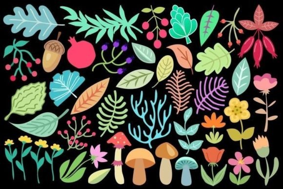 Nature Decorations: A Botanical Graphic Asset for Handmade Creators