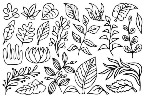 Plants Graphic Set: A Review for Digital Product Creators