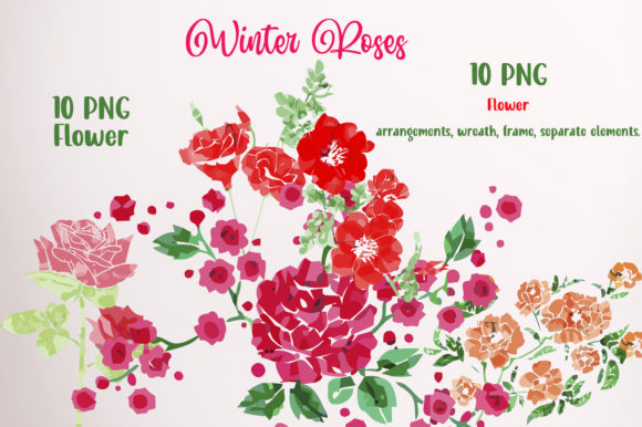 Red Roses Watercolor Graphics and Illustrations Review