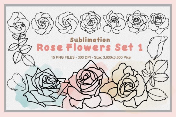Sublimation Rose Flowers Set 1: Premium Graphics for Brand Illustrations