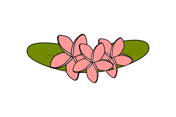 Summer Pretty Pink Flowers Graphics and Illustrations Review