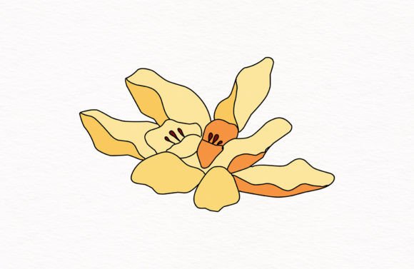 Tangerine Flowers Illustration: Fresh Graphics for Modern Design