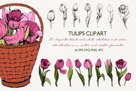 Tulip Clipart: A Versatile Graphic Design Asset for Modern Branding