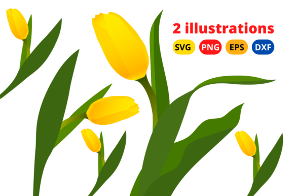 Tulip Flower Illustration Vector Artwork: A Versatile Graphic for Handmade Creations