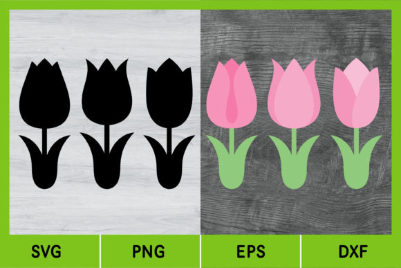 Tulips, Spring Flowers, Easter, Nature Graphics and Illustrations Review
